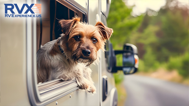 Module 28: Healthy & Safe Traveling with Pets in an RV